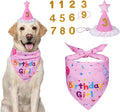 Yicostar Decoraciones de cumpleaños para perros, sombrero de cumple...