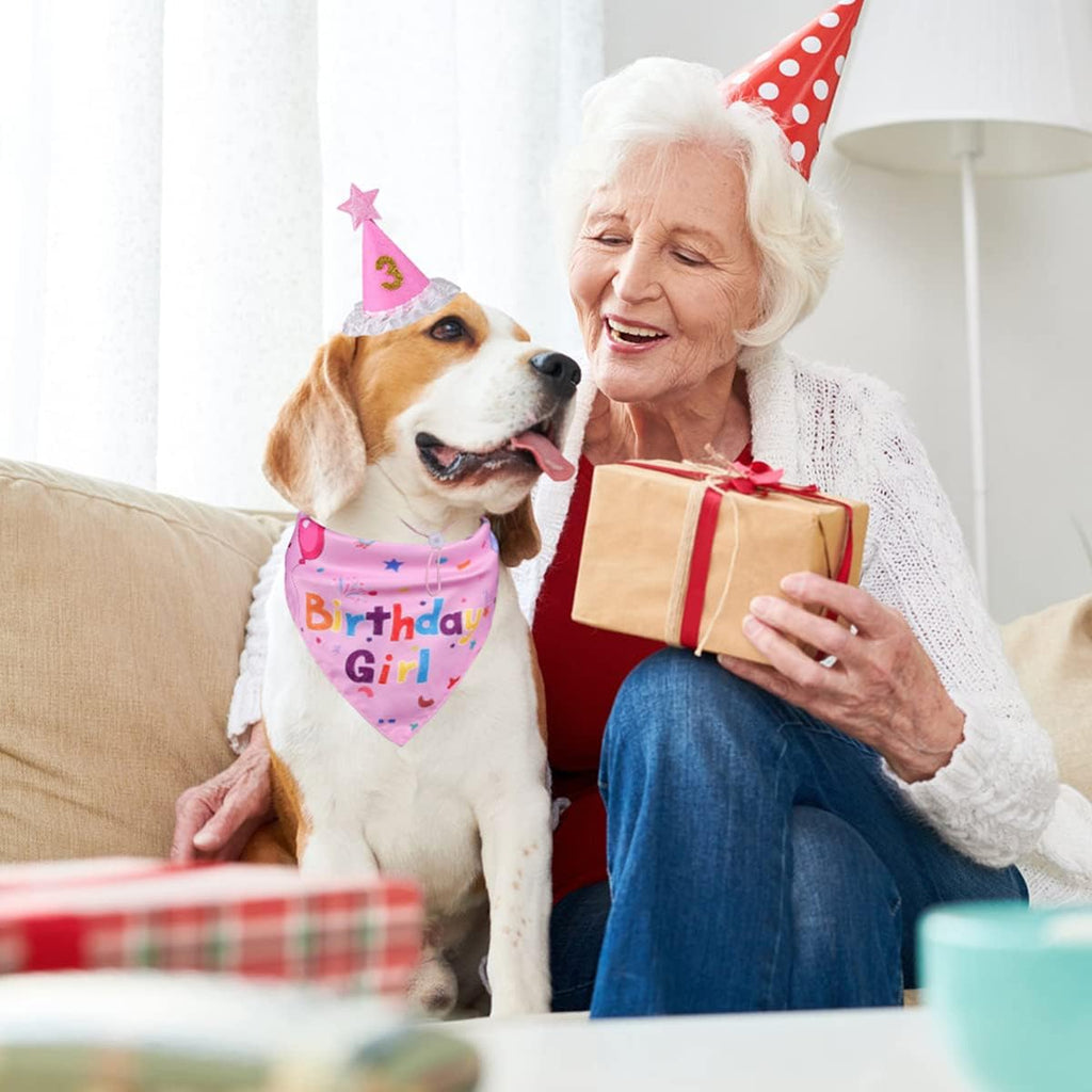 Yicostar Decoraciones de cumpleaños para perros, sombrero de cumple...