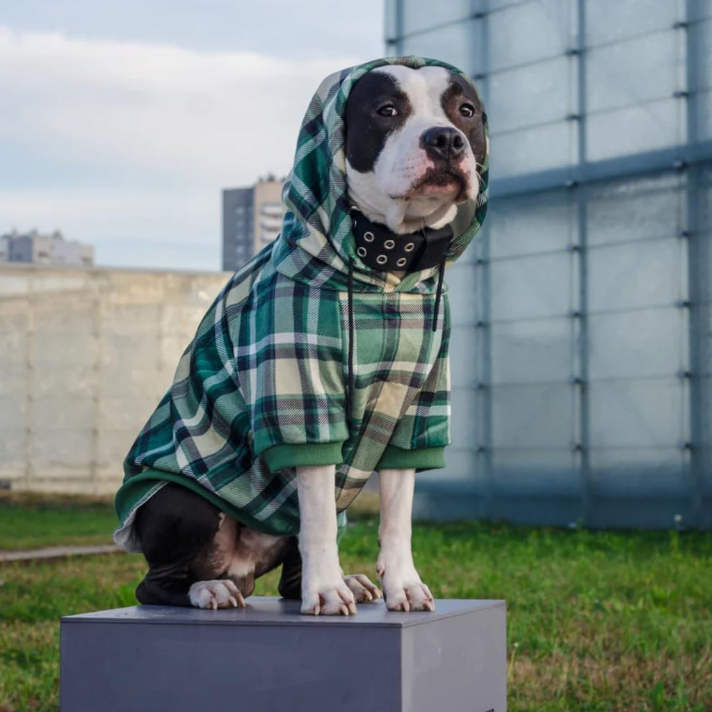 Spark Paws Sudadera con capucha para perro, suéter de primera calid...