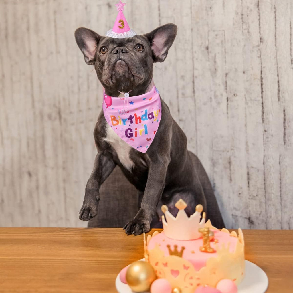 Yicostar Decoraciones de cumpleaños para perros, sombrero de cumple...