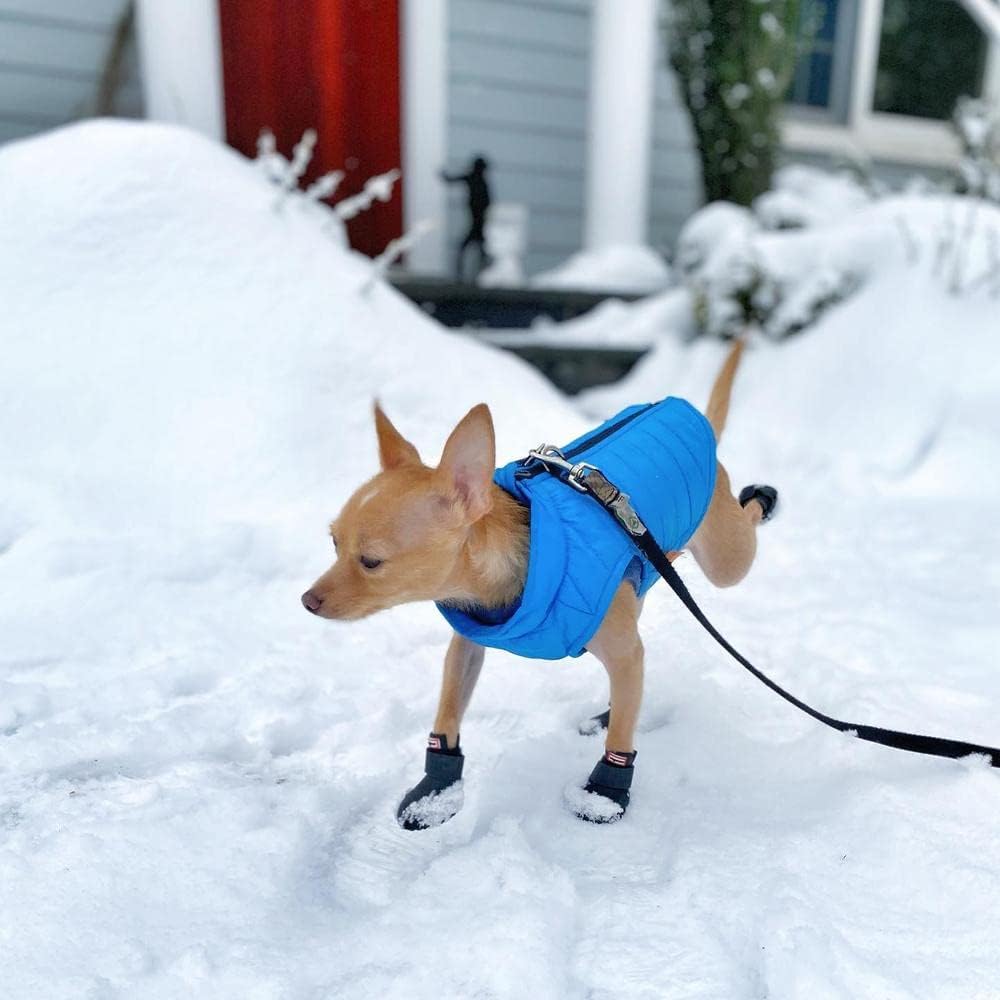 Gooby Chaleco acolchado para perro, azul, talla S | Cortavientos ul...