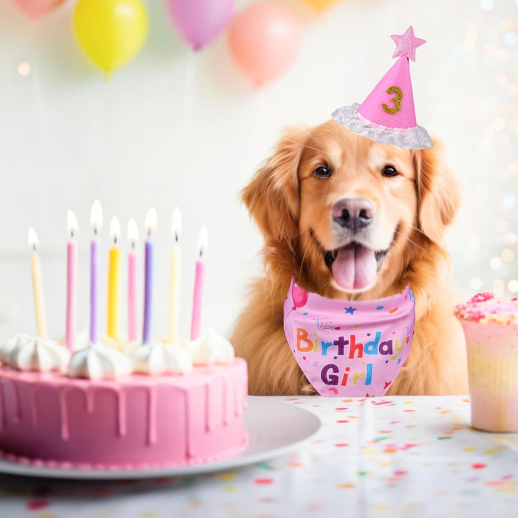 Yicostar Sombrero de fiesta de cumpleaños de perro niña, suministro...