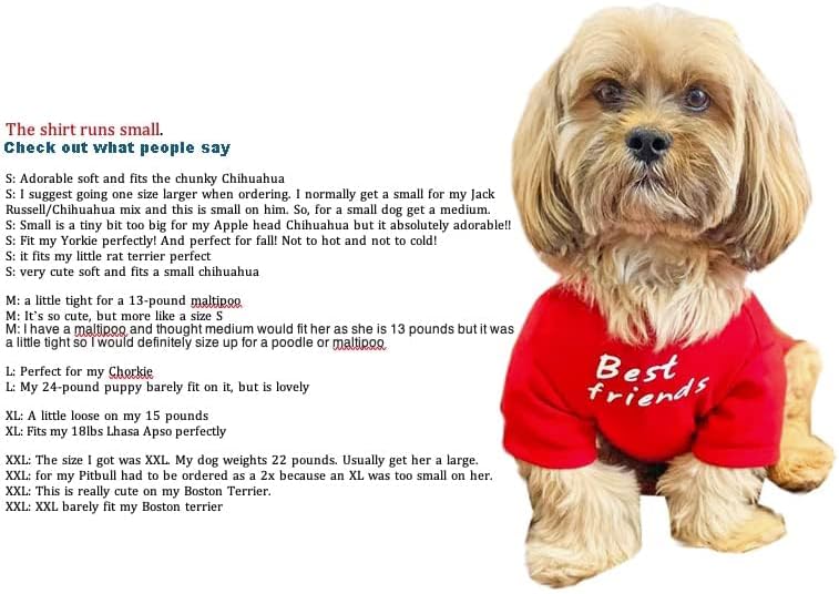 Ropa linda para perro, camiseta para perros medianos. Ropa para per...