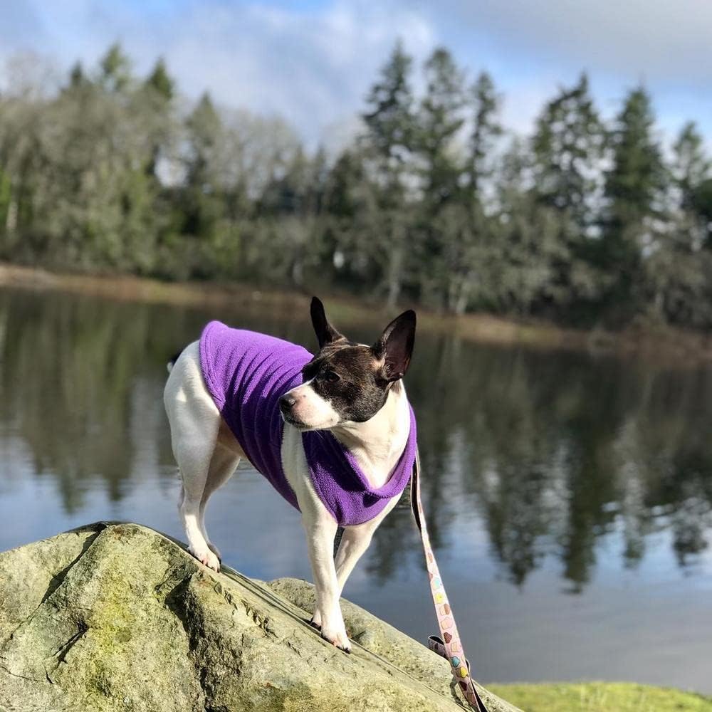 Gooby - Chaleco de tejido polar para perro, ropa de invierno para p...