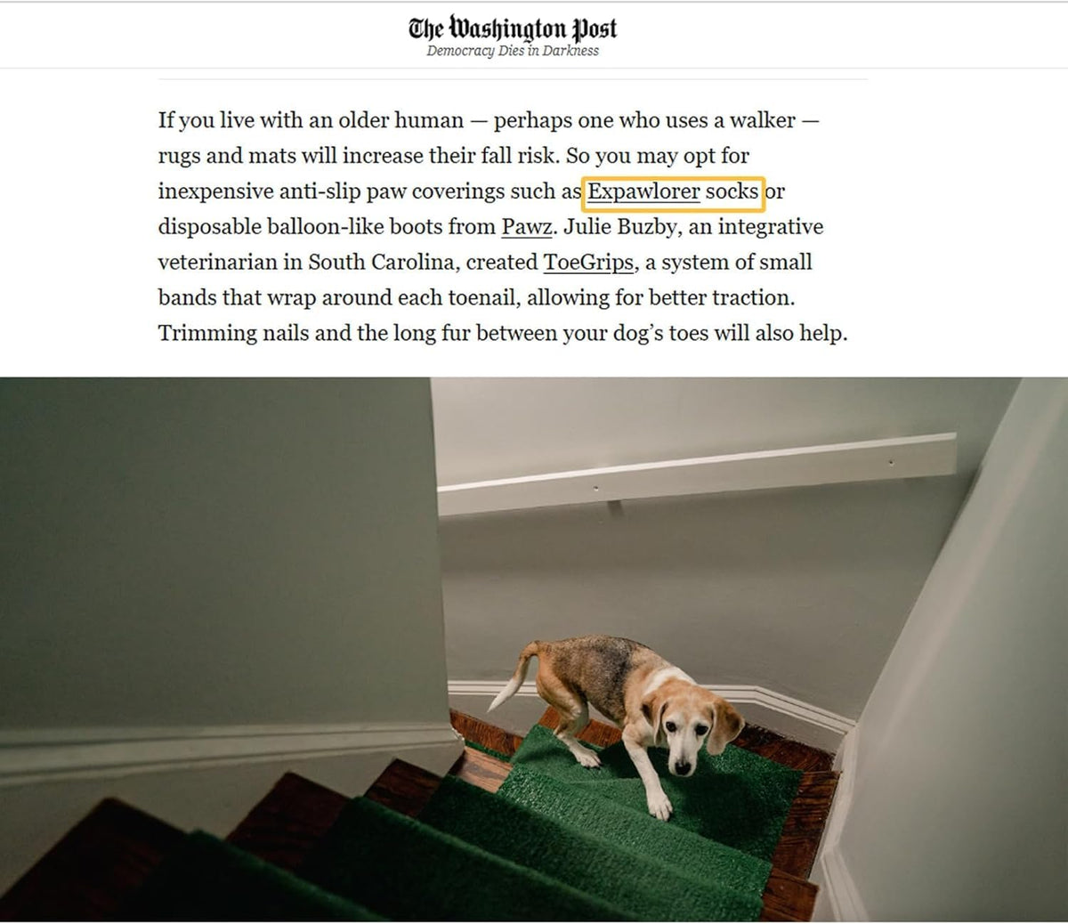 EXPAWLORER - Calcetines antideslizantes para perros, evitan que se...