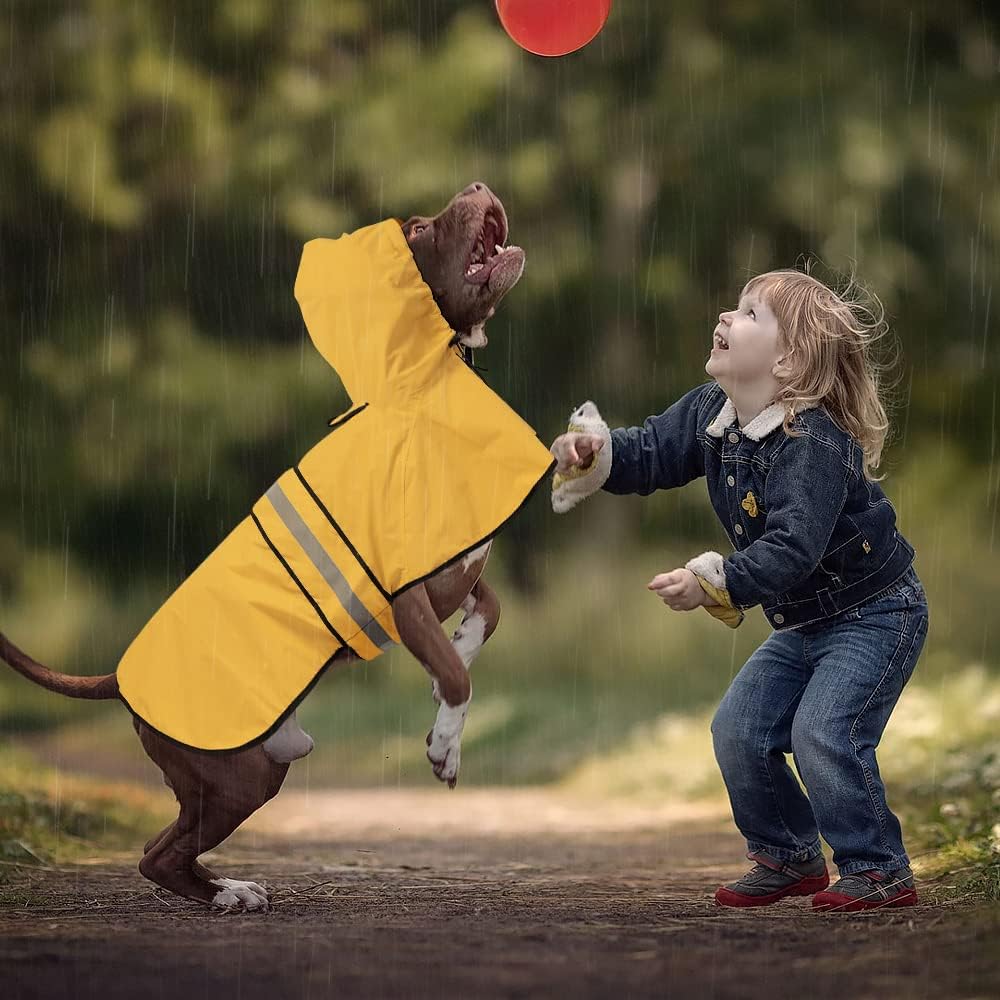 Ezierfy Abrigos Impermeables Reflectantes para Perros - Chaqueta Im...