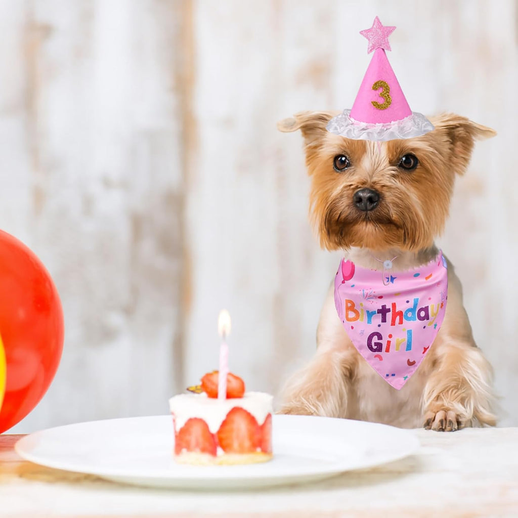 Yicostar Juego de bandana de cumpleaños para perros, suministros pa...