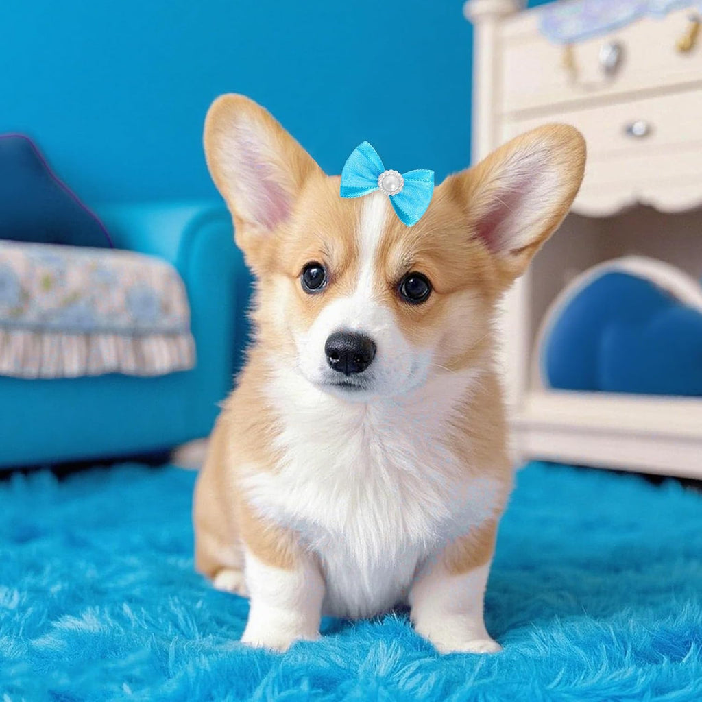 20 unidades de lindos lazos para el pelo de perro con bandas de gom...
