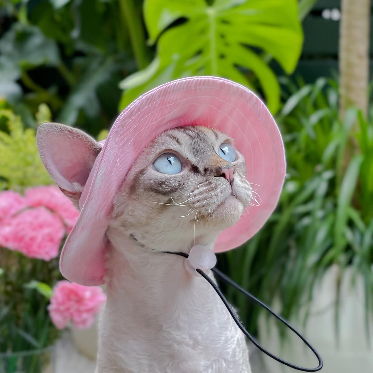 Sombrero para mascotas con agujeros para las orejas, protector sola...