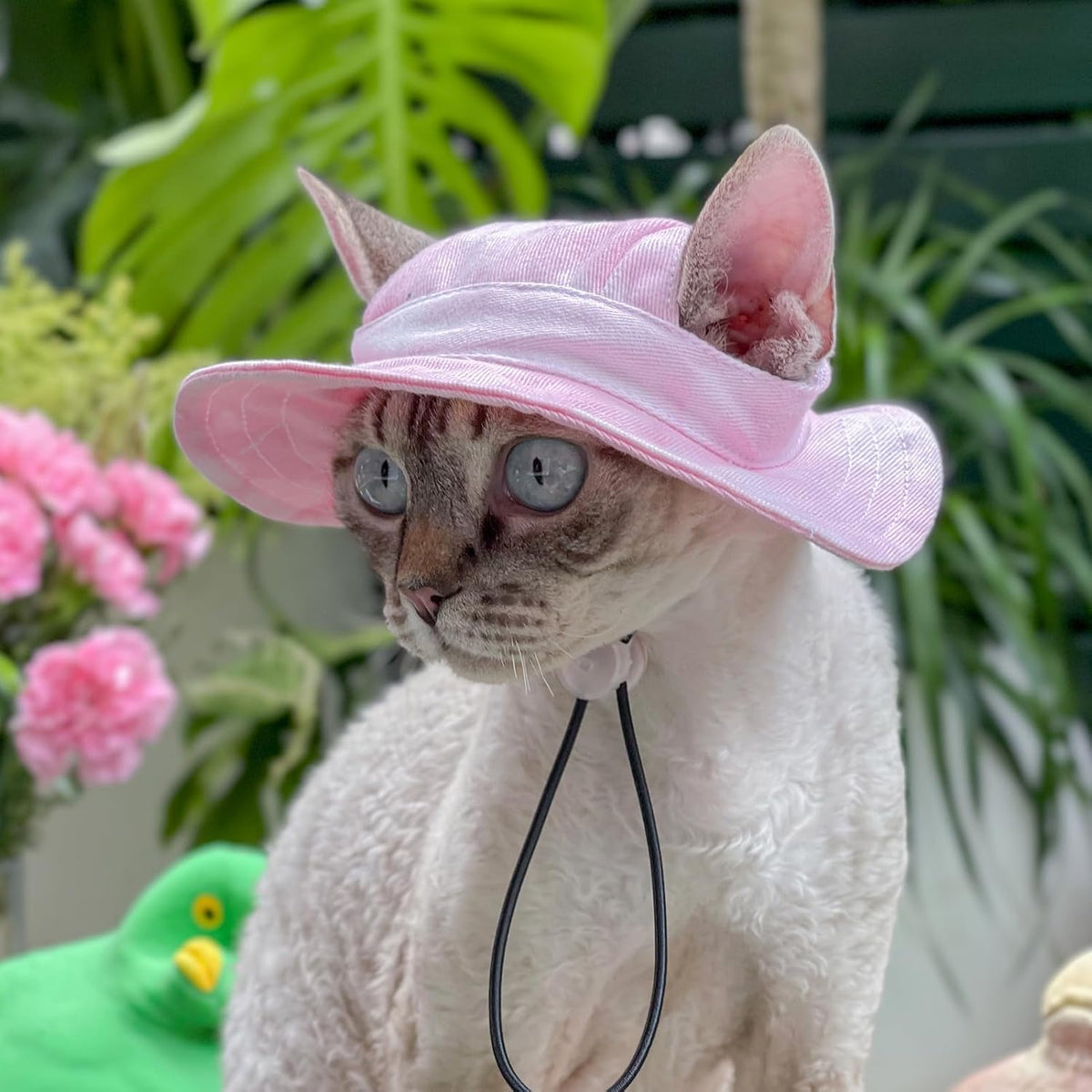 Sombrero para mascotas con agujeros para las orejas, protector sola...