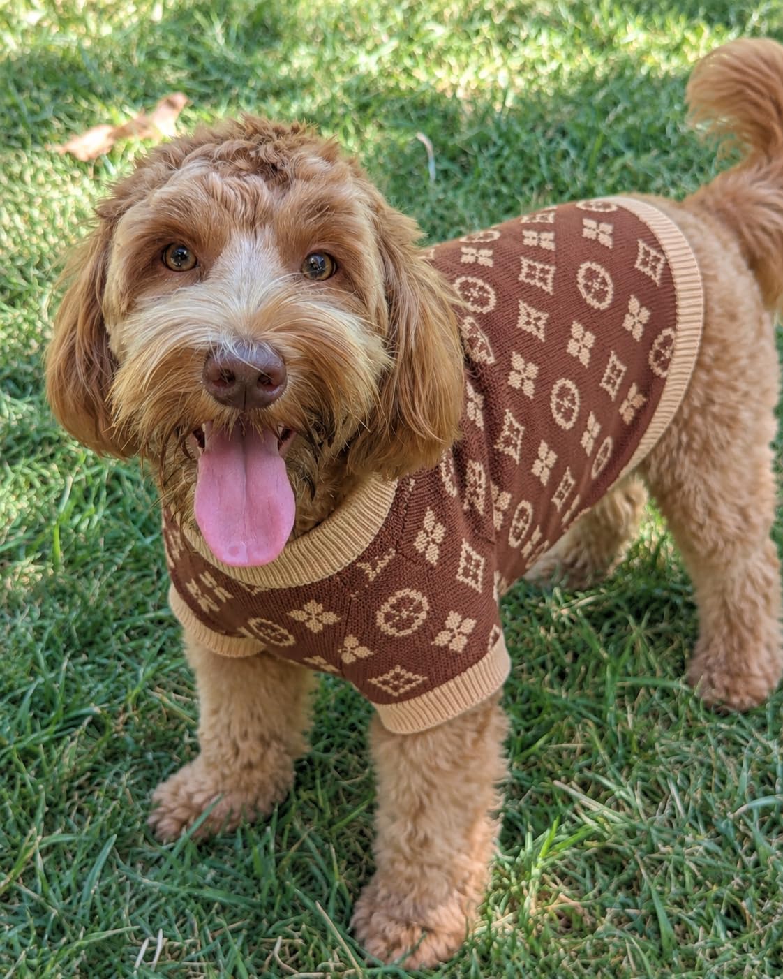 Everything Chic Suéter de Lujo para Perros \u2013 Traje de Mascota...