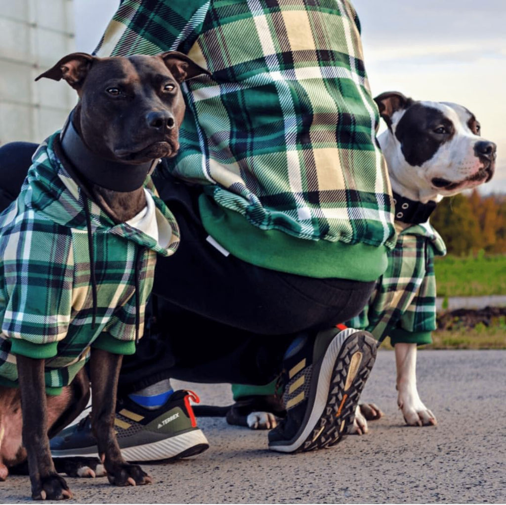 Spark Paws Sudadera con capucha para perro, suéter de primera calid...