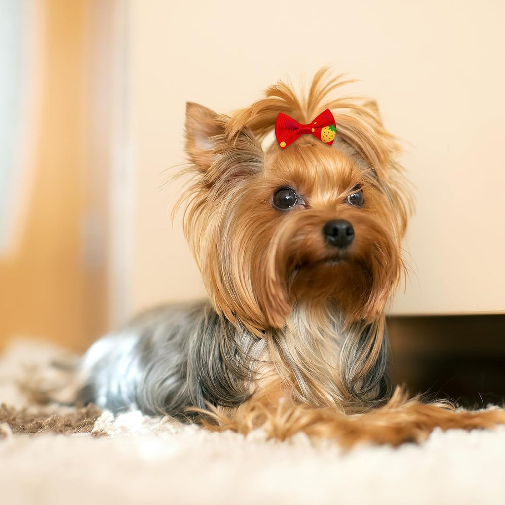 Senniea 100 unidades de lindos moños pequeños para cachorros, lazos...