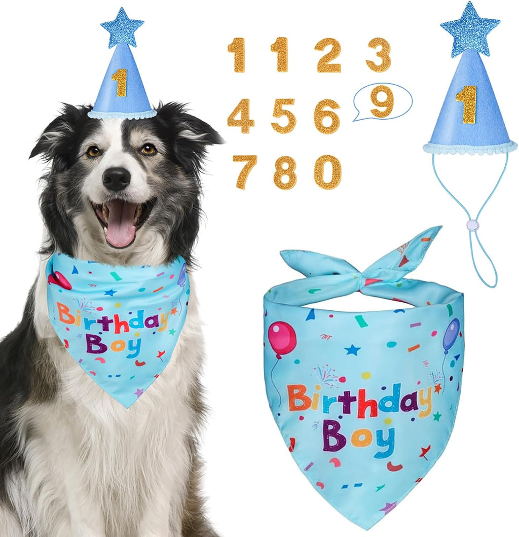 Yicostar Dog Boy - Sombrero para fiesta de cumpleaños, suministros...