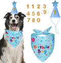 Yicostar Dog Boy - Sombrero para fiesta de cumpleaños, suministros...