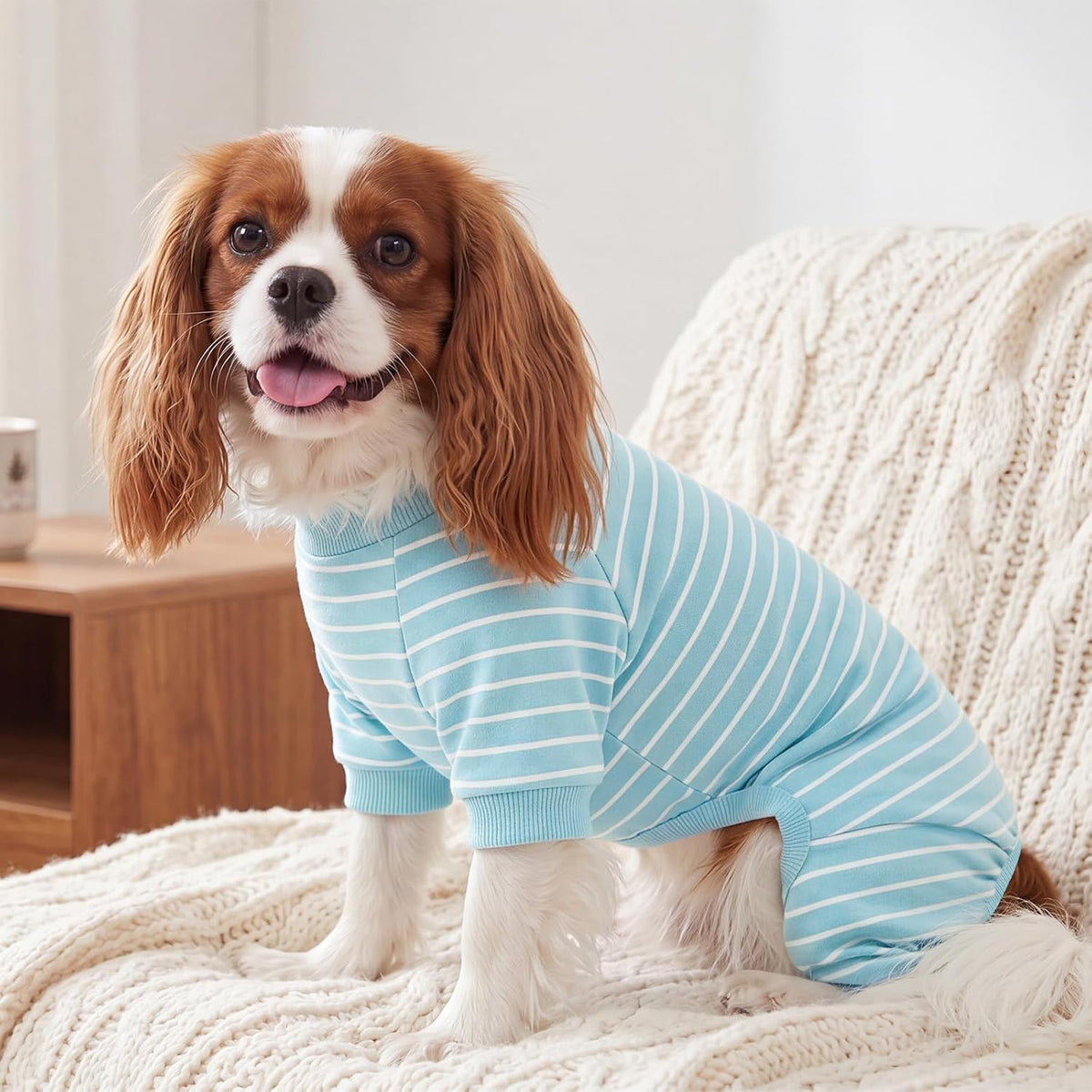 XPUDAC Paquete de 4 pijamas a rayas para perros, ropa para perros p...