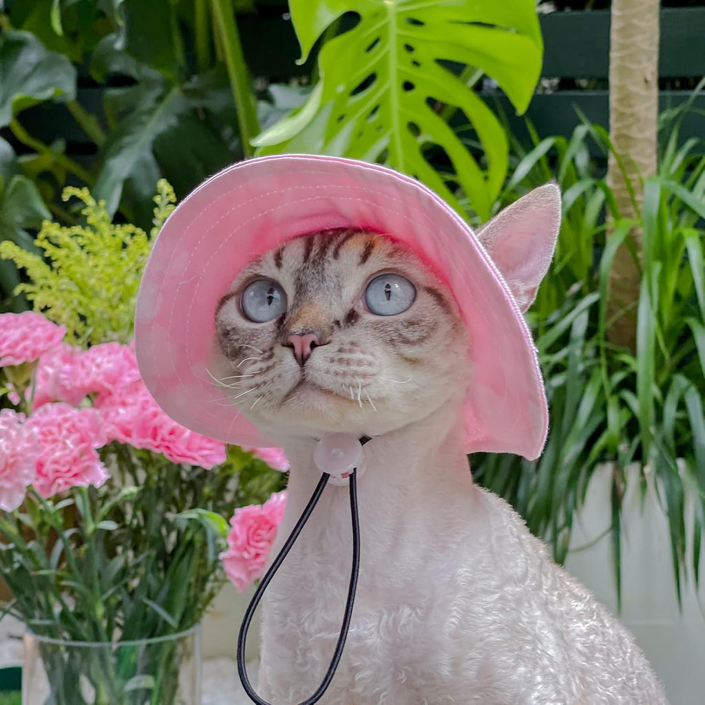 Sombrero para mascotas con agujeros para las orejas, protector sola...