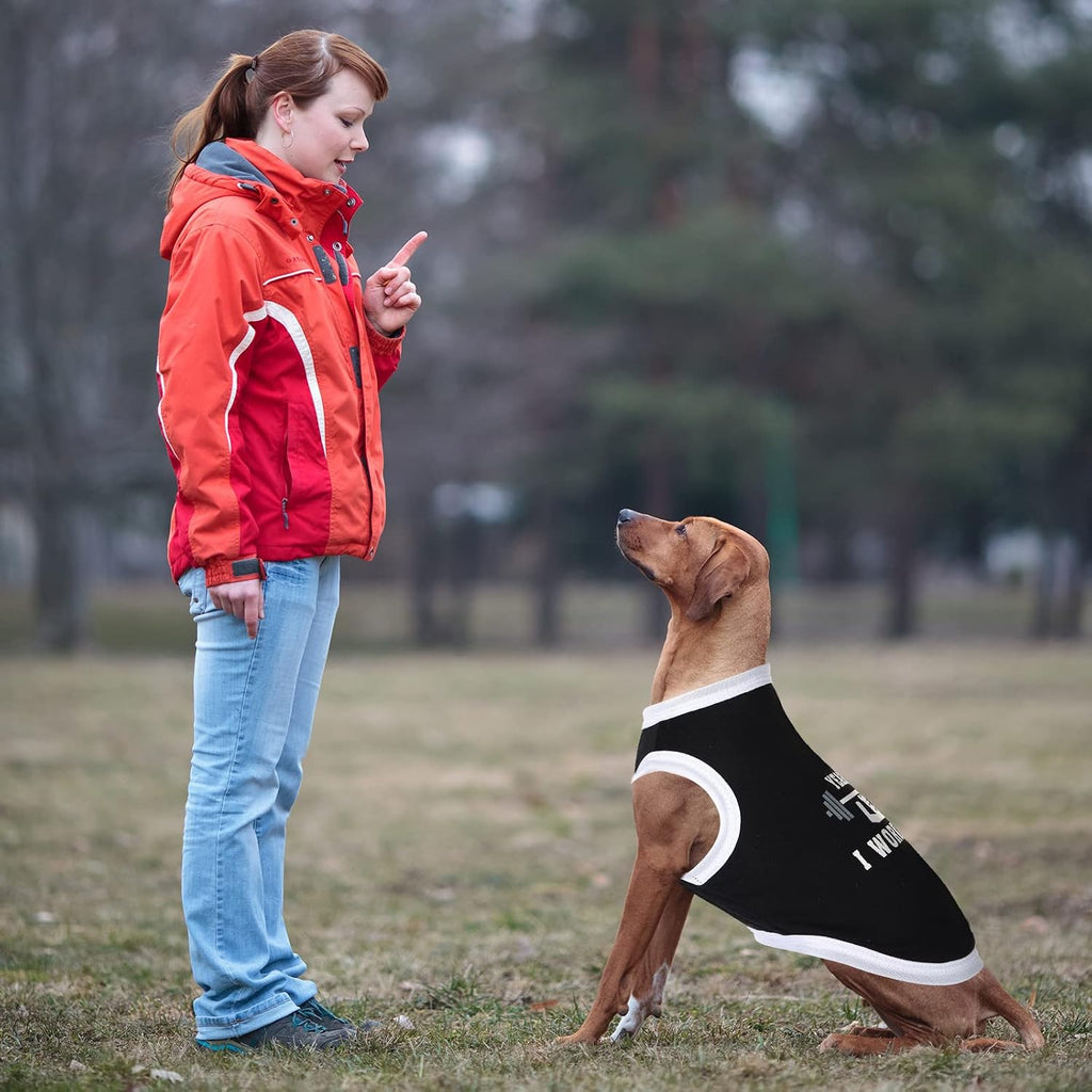 Bbto 12 camisas para perro, ropa de verano impresa para cachorros,...