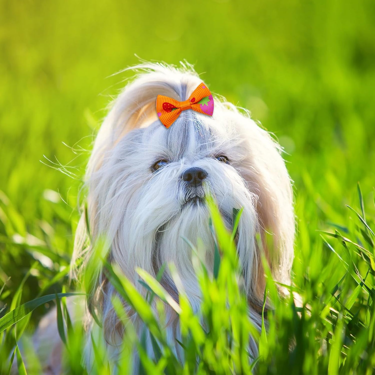 Senniea 100 unidades de lindos moños pequeños para cachorros, lazos...
