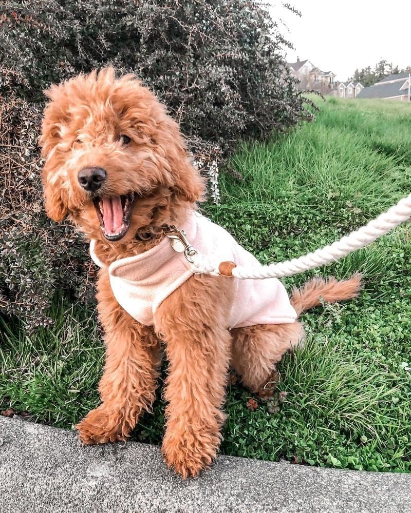 Gooby - Chaleco de tejido polar para perro, ropa de invierno para p...