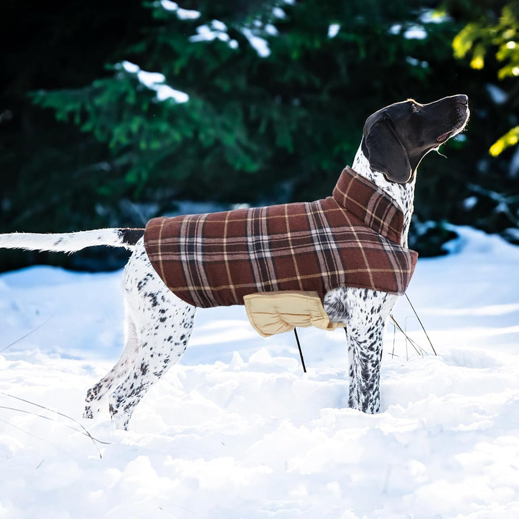 Kuoser - Abrigo impermeable de invierno para perro, chaqueta revers...