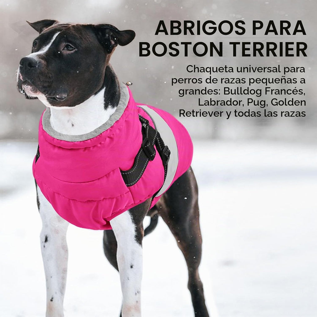 SUNFURA Abrigo para perro pequeño con arnés integrado, chaqueta cál...