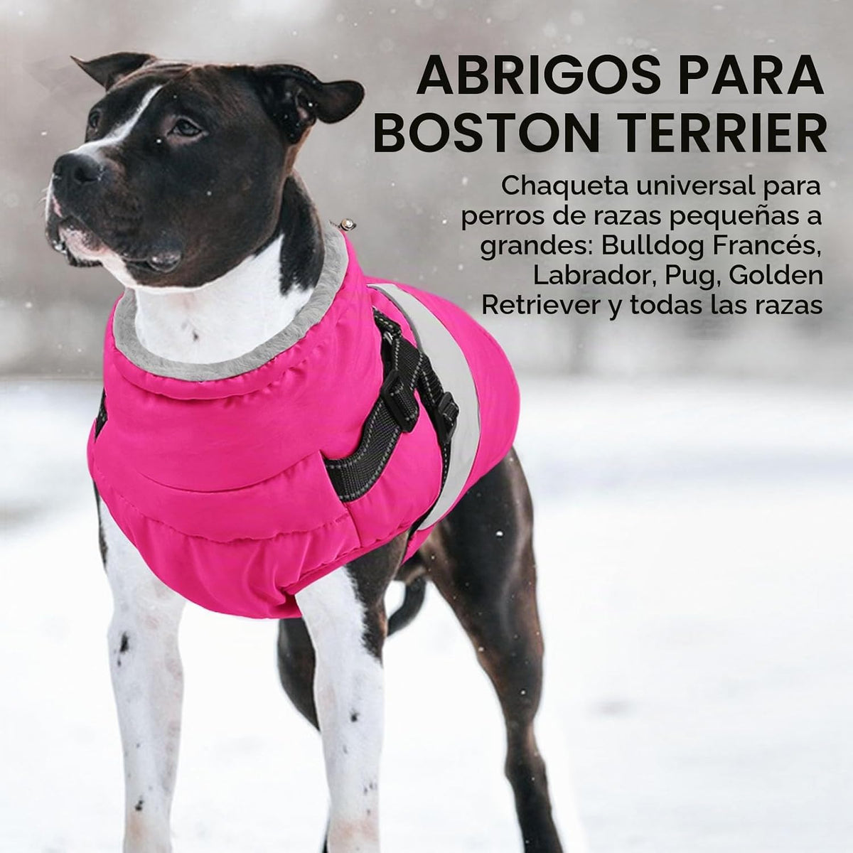 SUNFURA Abrigo para perro pequeño con arnés integrado, chaqueta cál...