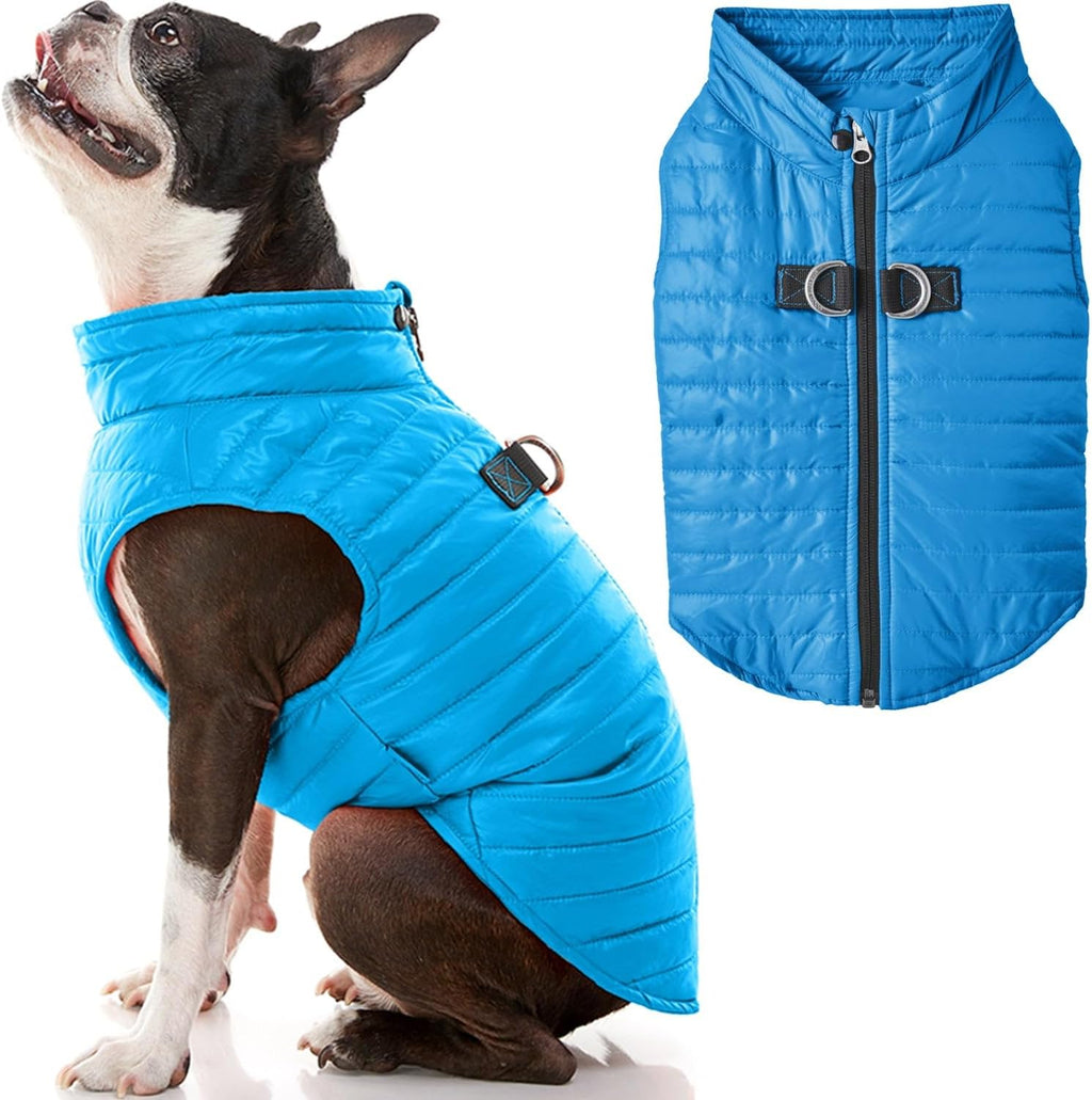 Gooby Chaleco acolchado para perro, azul, talla S | Cortavientos ul...