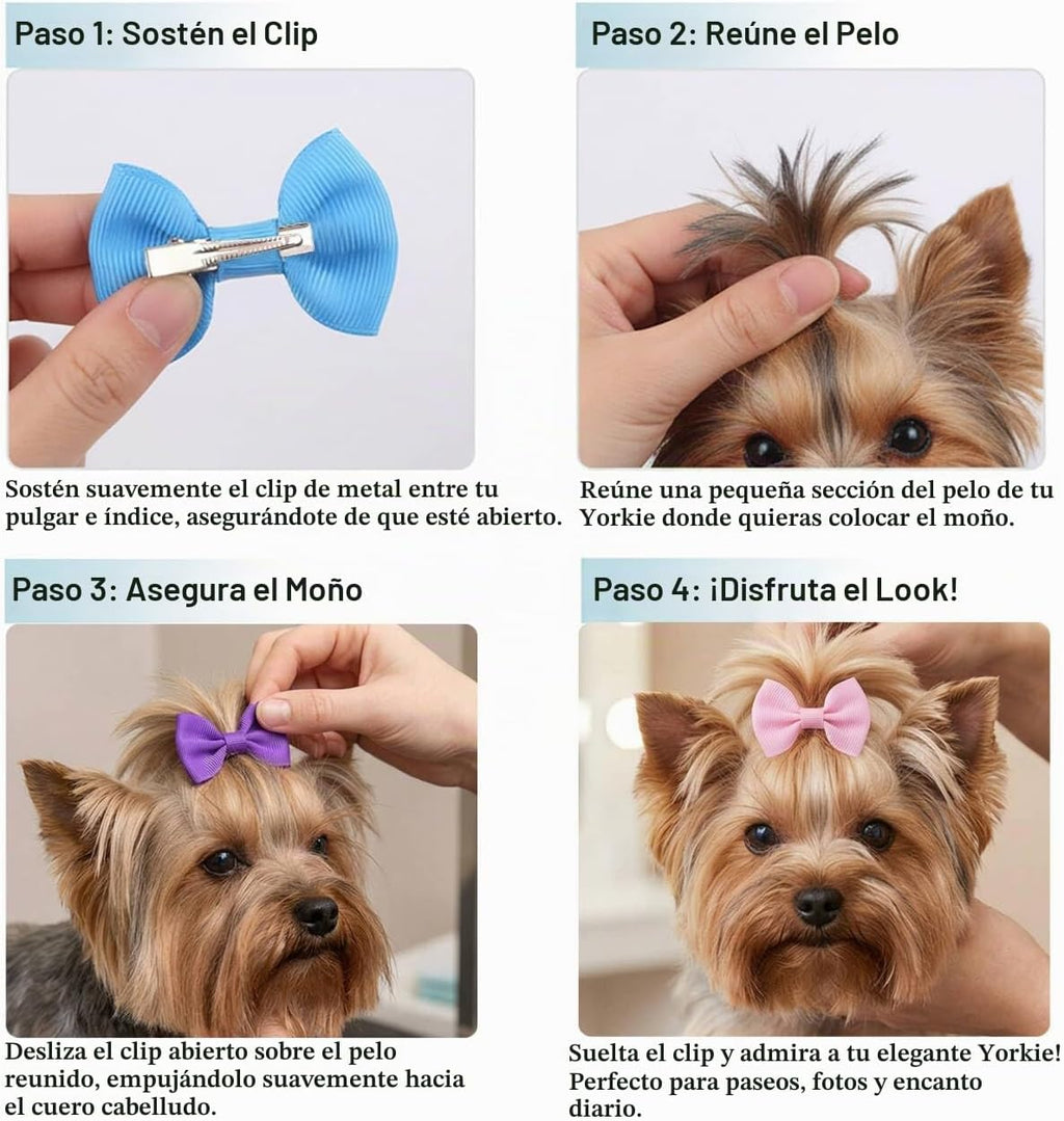 QingHan Lazos para el pelo para perros pequeños \u2013 Lazos para m...