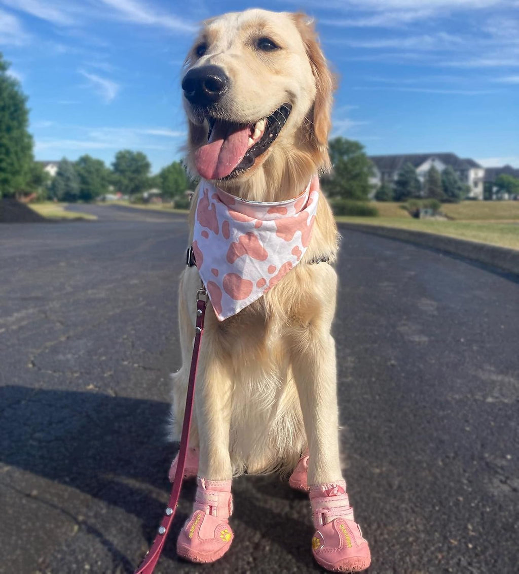 QUMY - Zapatos para perros grandes, botas medianas para perros y pr...