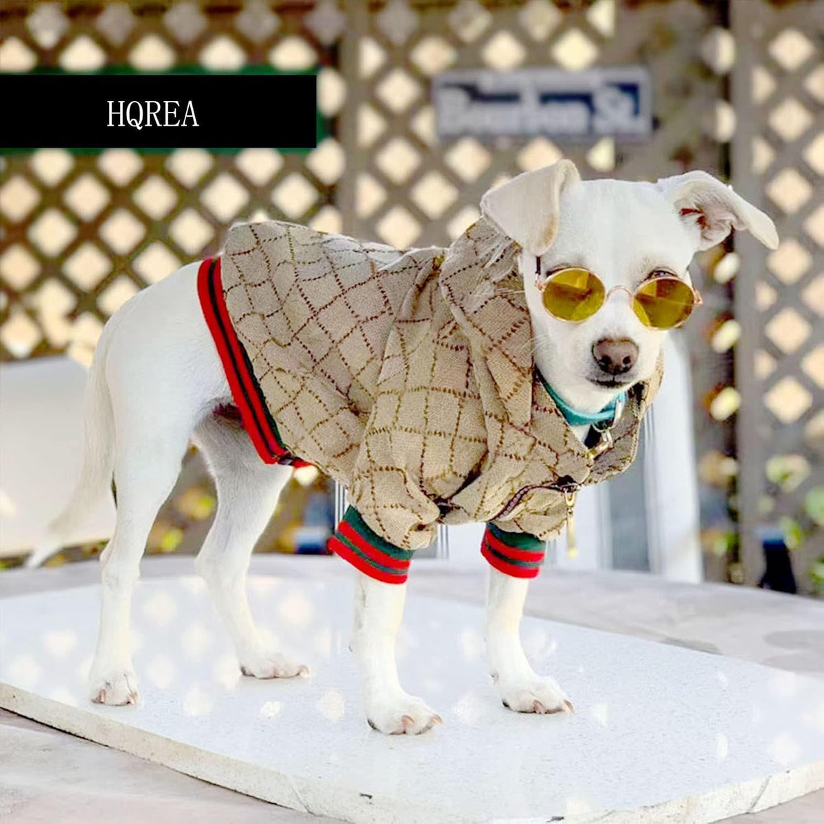 HQREA - Sudadera con capucha para perro, chaqueta de invierno de lu...