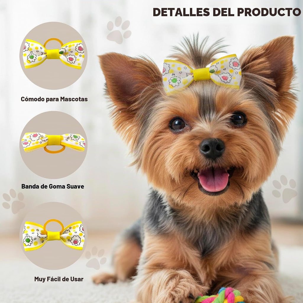 QingHan Lazos para el pelo de cachorro: 5 cm con bandas de goma, ac...