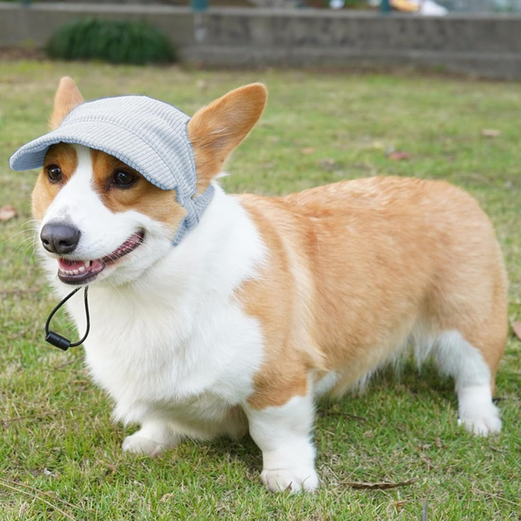 Gorra de béisbol para perro, gorra de playa de verano para perro y...