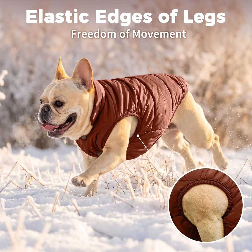 JoyDaog - Chaqueta de forro polar para perro, 2 capas, para cachorr...