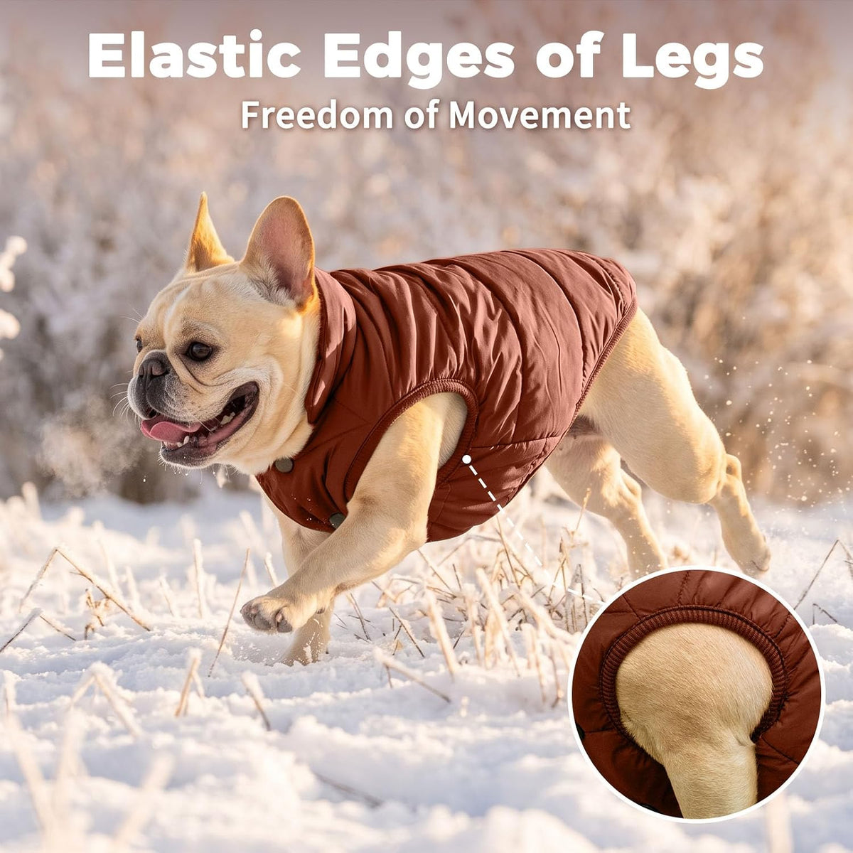 JoyDaog - Chaqueta de forro polar para perro, 2 capas, para cachorr...