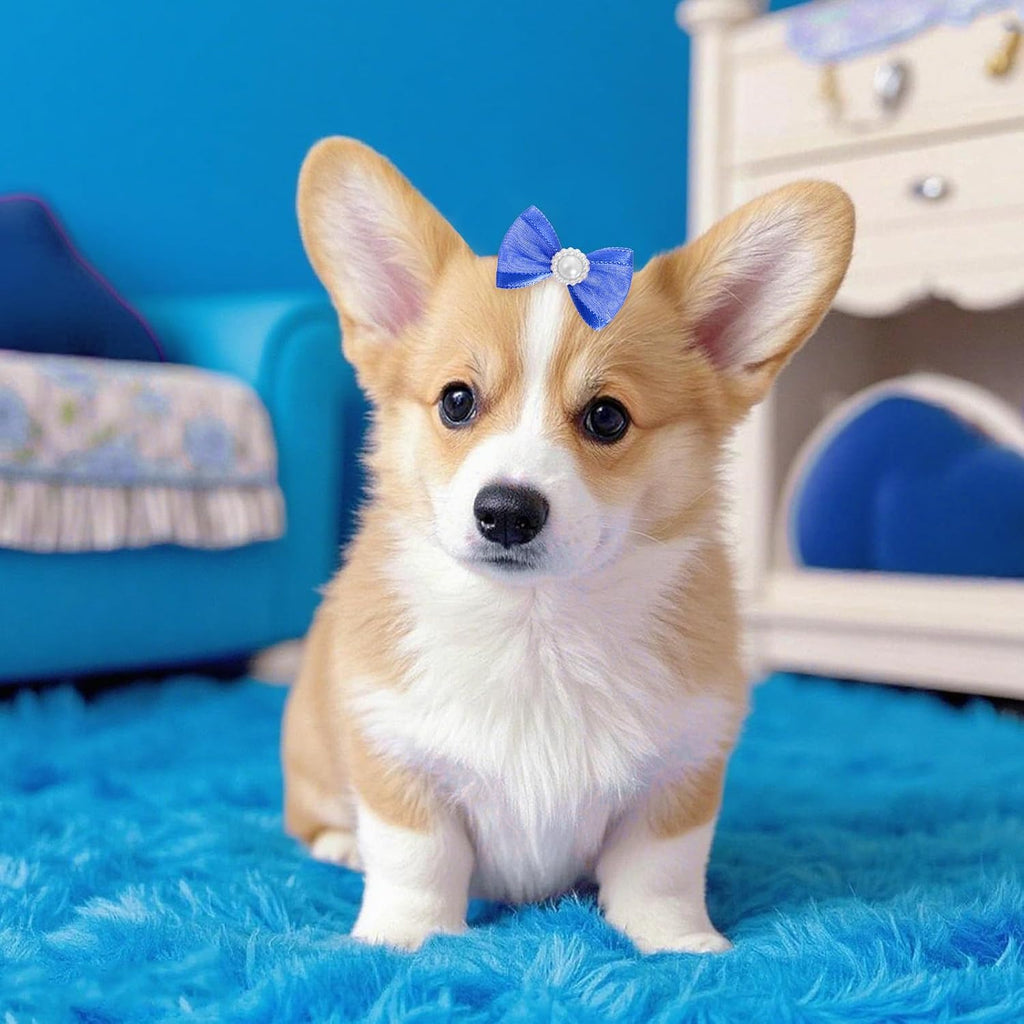 20 unidades de lindos lazos para el pelo de perro con bandas de gom...