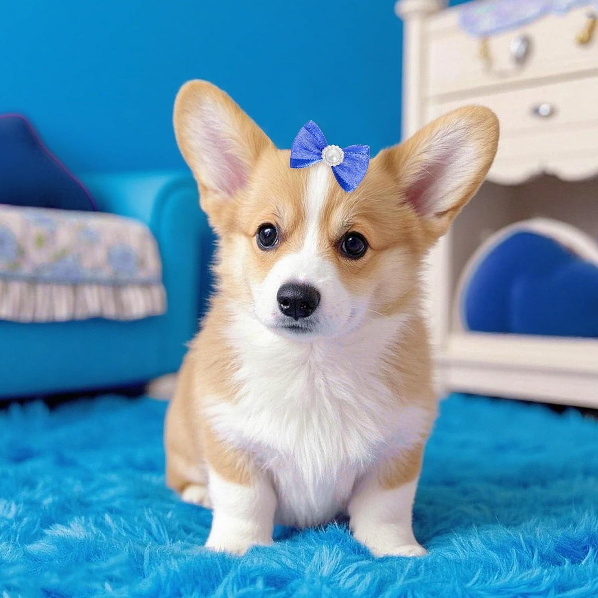 20 unidades de lindos lazos para el pelo de perro con bandas de gom...