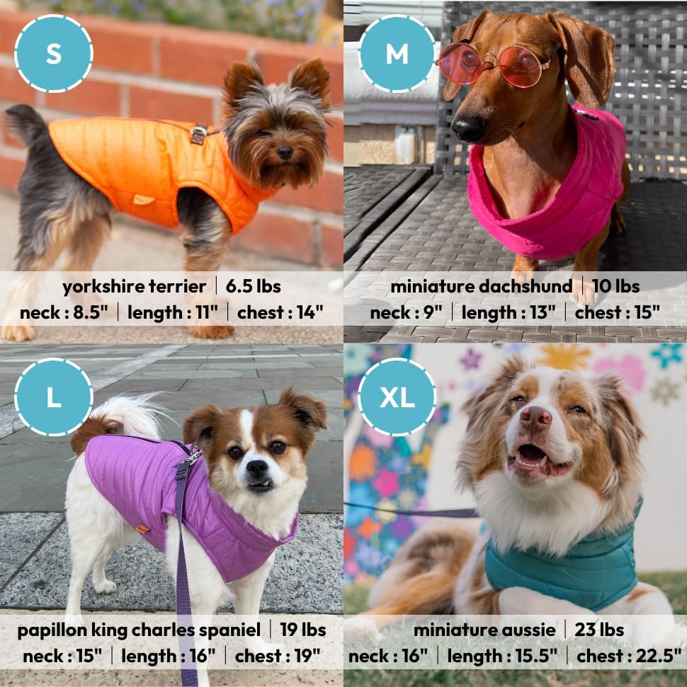 Gooby Chaleco acolchado para perro, azul, talla S | Cortavientos ul...