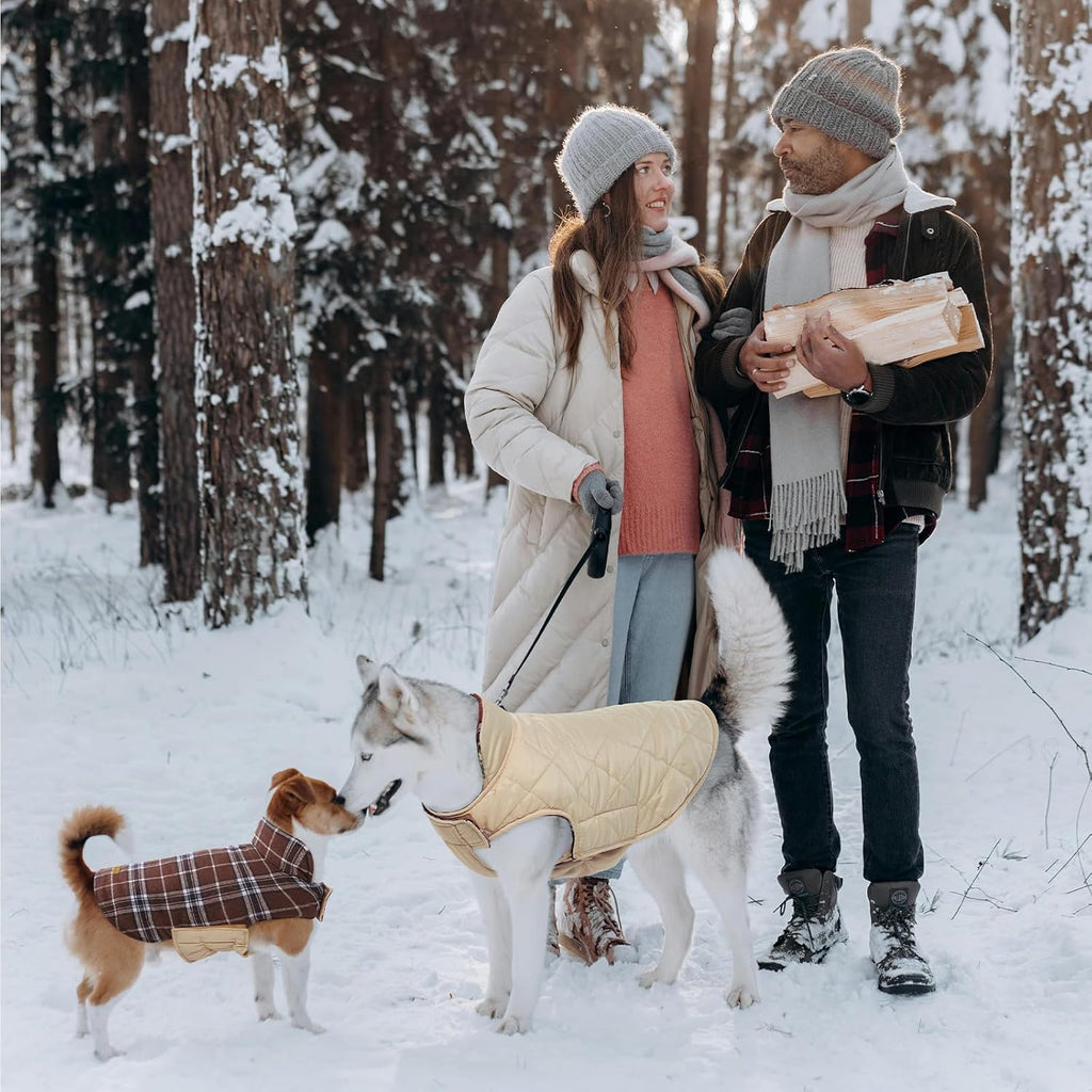 Kuoser - Abrigo impermeable de invierno para perro, chaqueta revers...