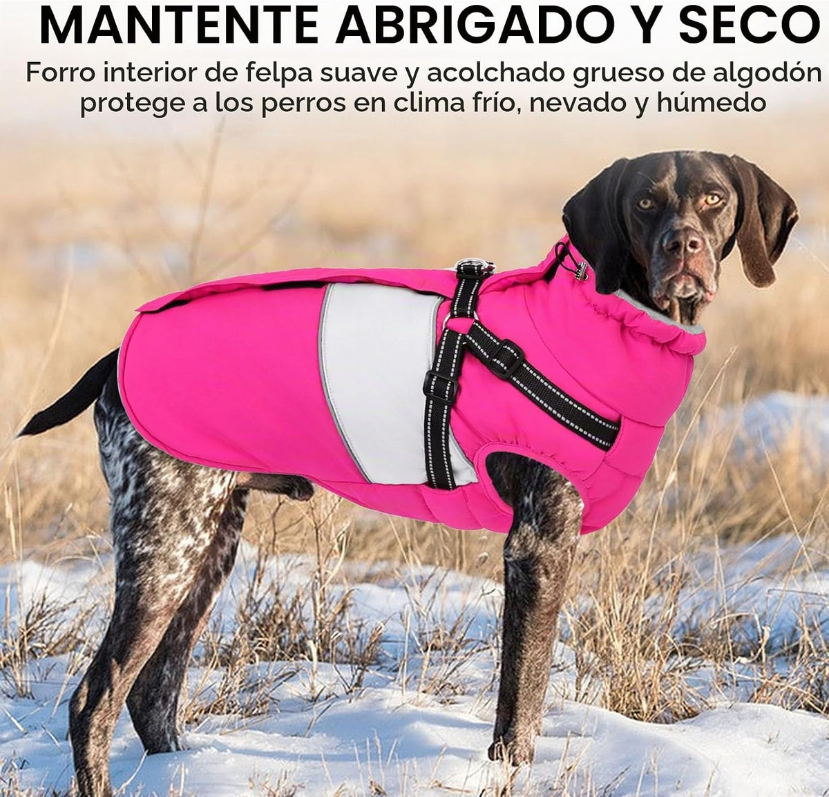 SUNFURA Abrigo para perro pequeño con arnés integrado, chaqueta cál...