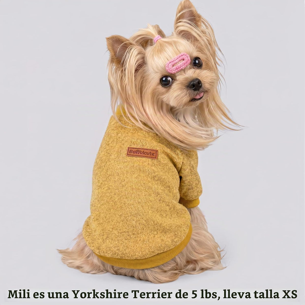BAOBICUTE Paquete de 3 suéteres para perros pequeños, niñas y niños...