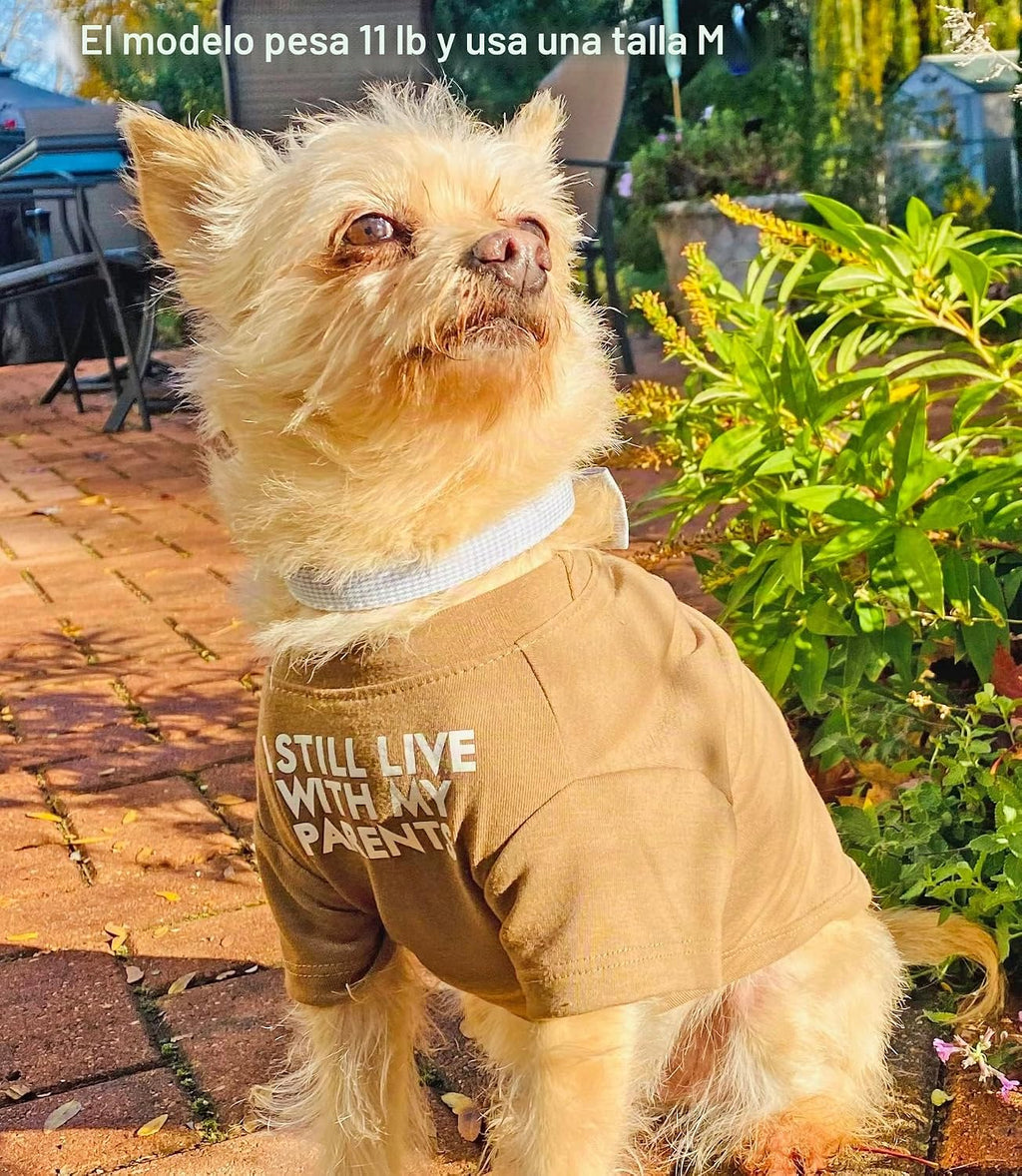 Ropa linda para perro, camiseta para perros medianos. Ropa para per...