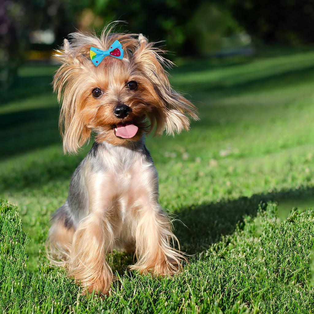 Senniea 100 unidades de lindos moños pequeños para cachorros, lazos...