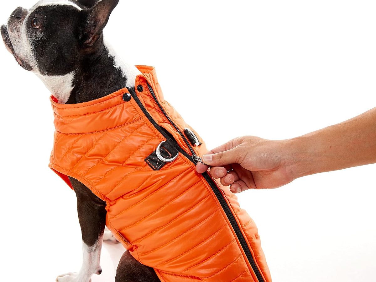 Gooby Chaleco acolchado para perro, azul, talla S | Cortavientos ul...