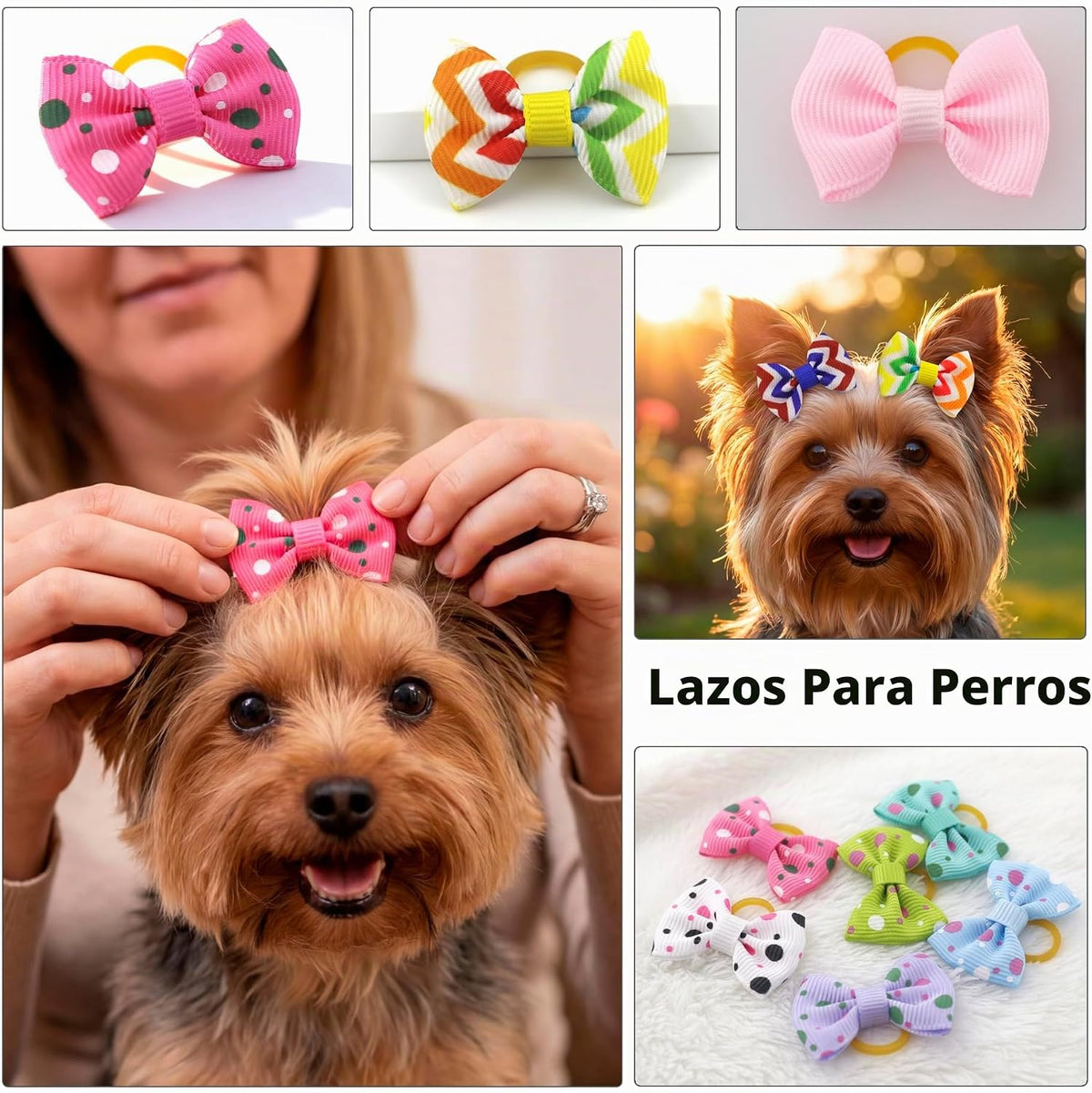 Lazos para el pelo de cachorros, bandas de goma mini para perros pe...