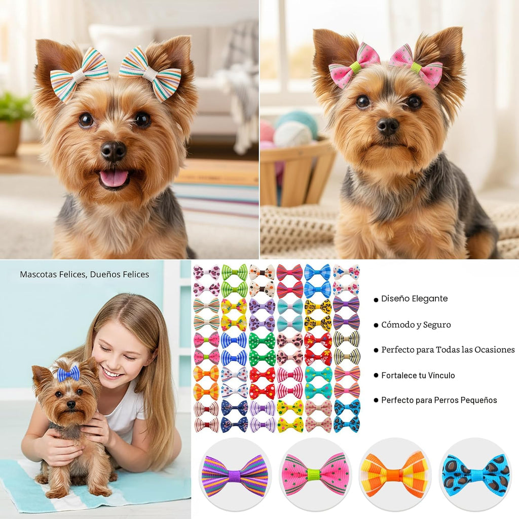 QingHan Lazos para el pelo de perro para cachorros pequeños: clips...