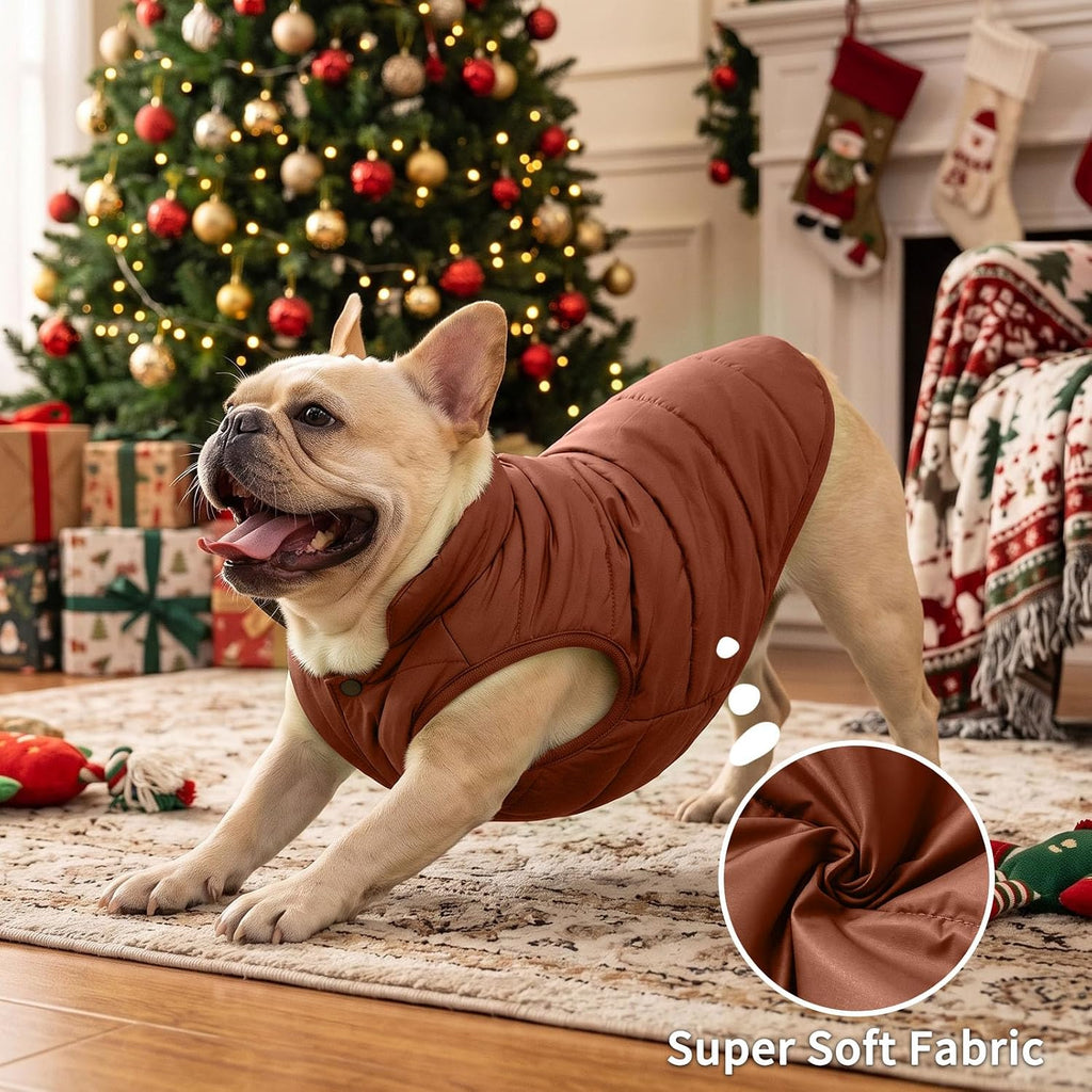 JoyDaog - Chaqueta de forro polar para perro, 2 capas, para cachorr...