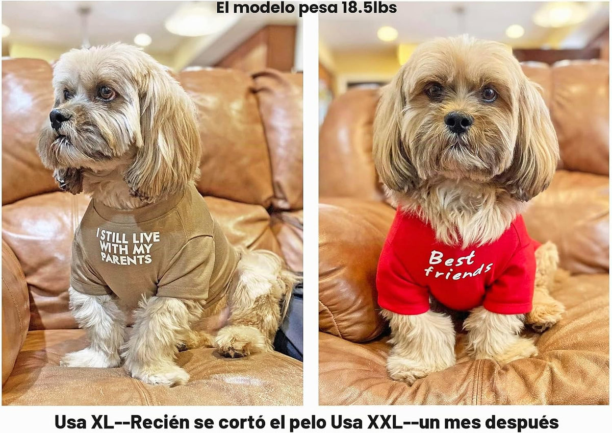 Ropa linda para perro, camiseta para perros medianos. Ropa para per...