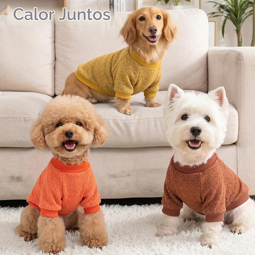 BAOBICUTE Paquete de 3 suéteres para perros pequeños, niñas y niños...