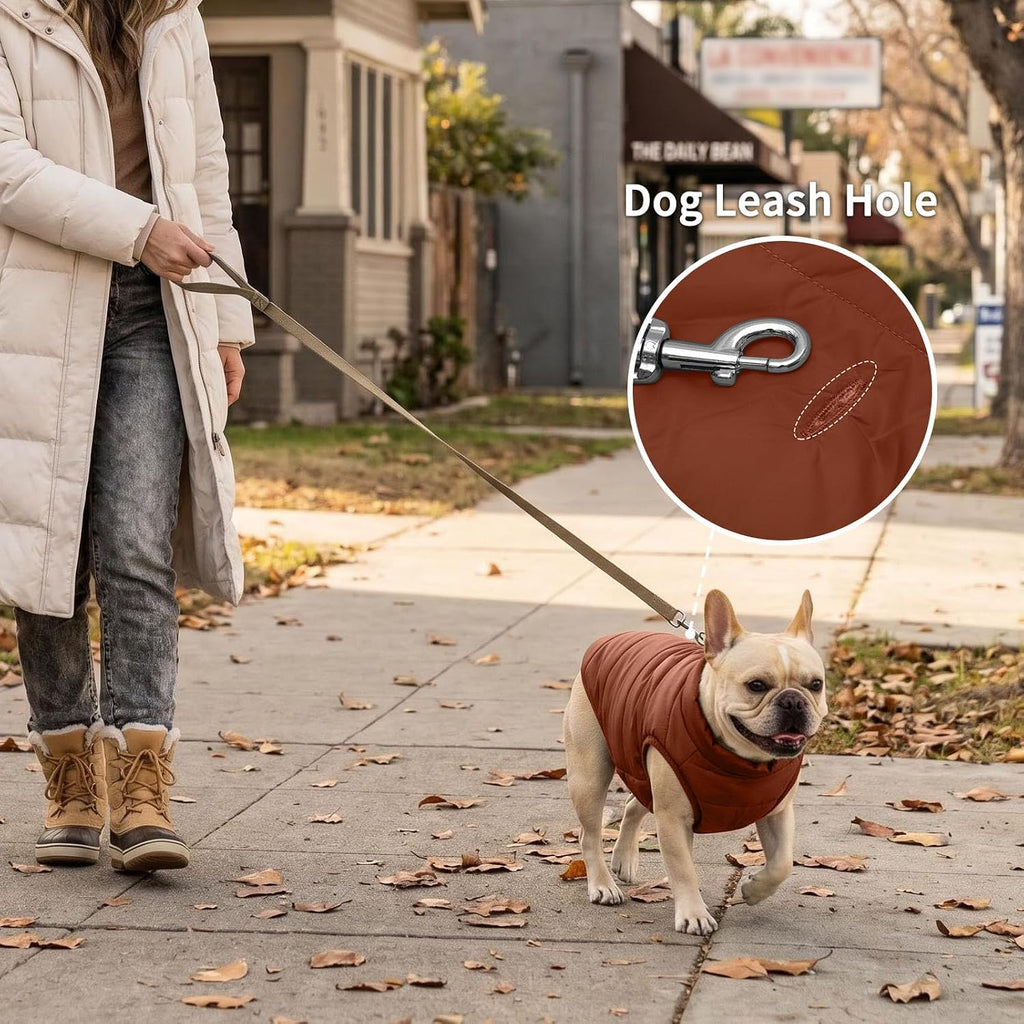 JoyDaog - Chaqueta de forro polar para perro, 2 capas, para cachorr...